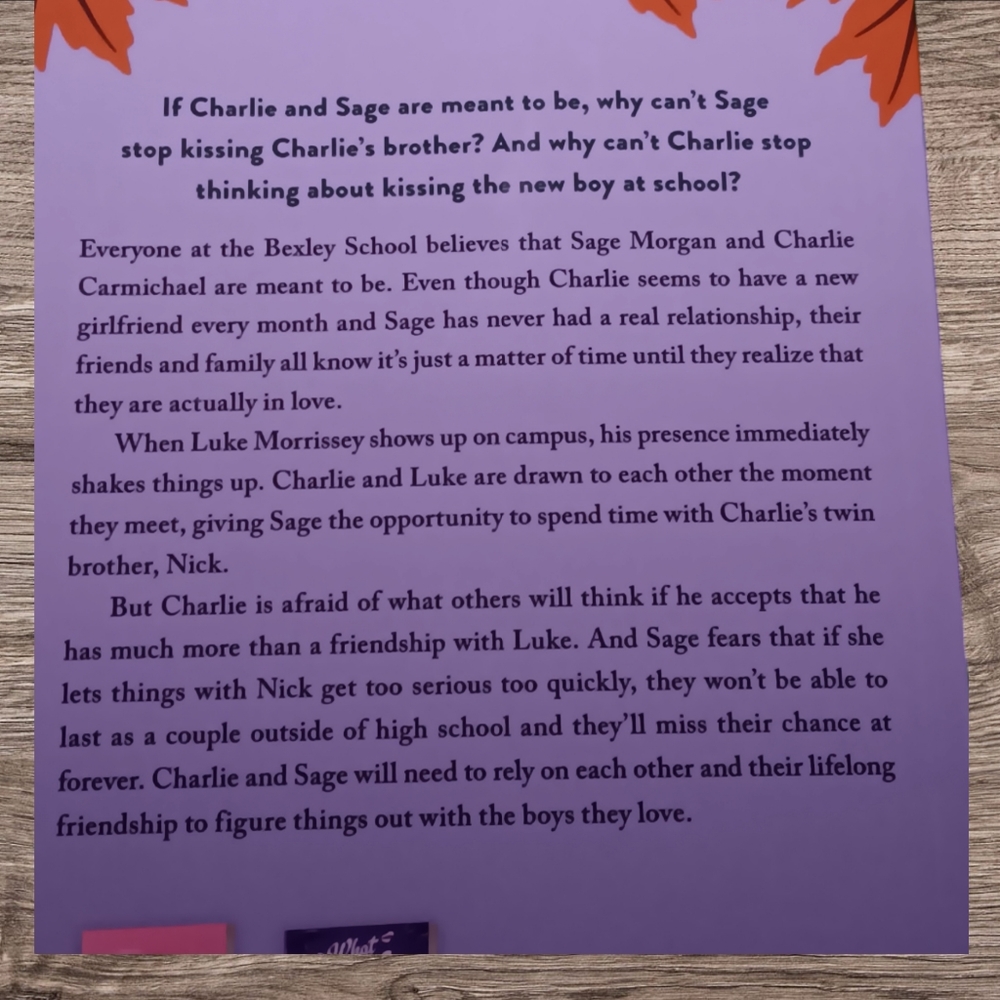 Book: Maybe Meant to be - Picture 4 of 8